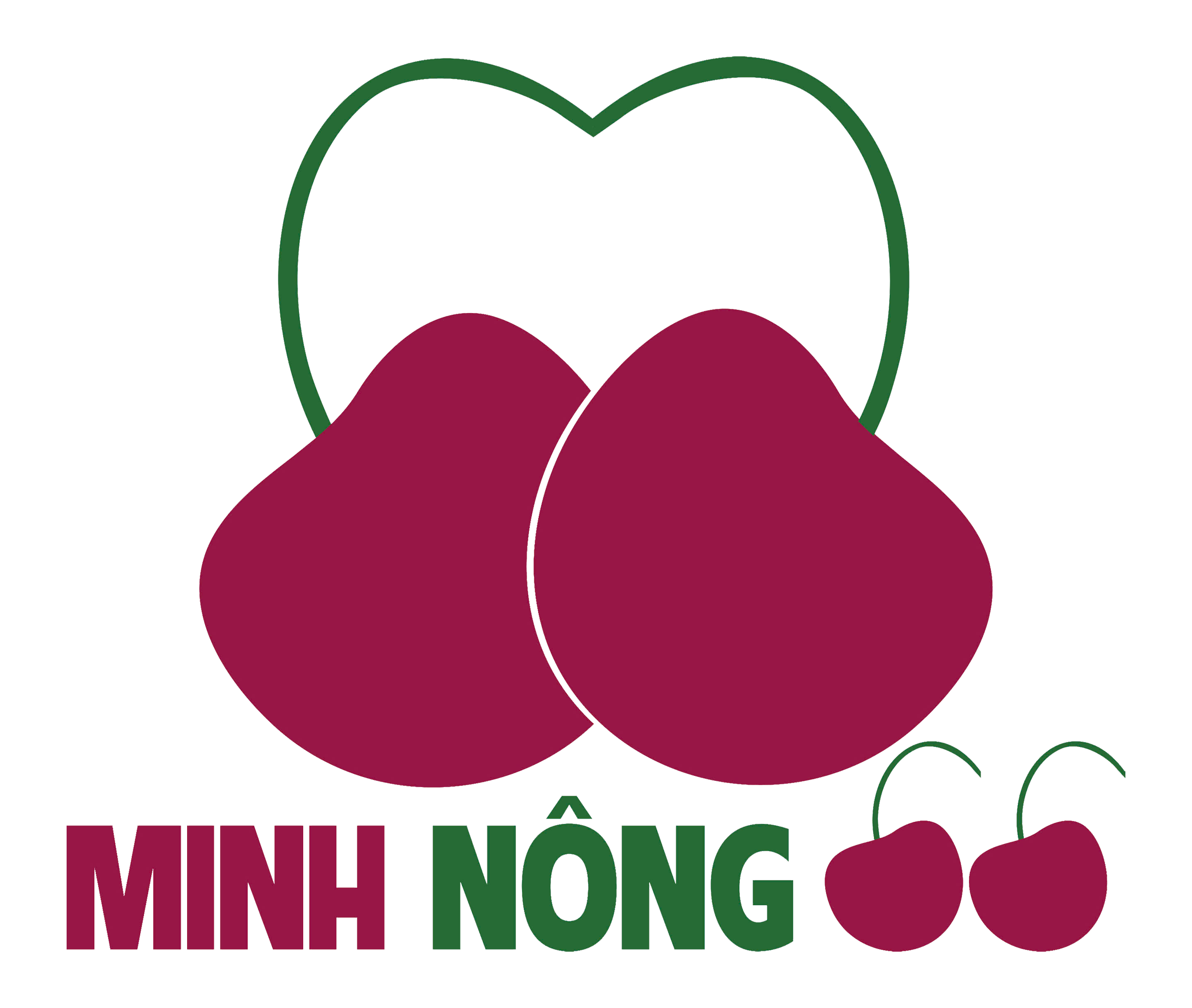 Logo Minh Nông 66
